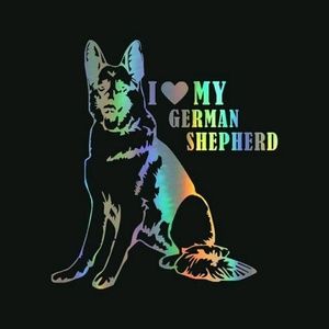 Meet your Posher, Tamara